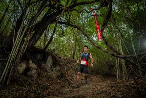 BIB: 
                            <button type="button" onclick="openModal(22177352)" class="btn btn-primary btn-sm float-right btn-popup" data-toggle="modal" data-target=".modal-high-quality">
                        <i class="fas fa-shopping-cart"></i> Add to Cart
                    </button>
                                            <button type="button" onclick="isThisMe(22177352, true)" class="btn btn-success btn-sm float-right btn-popup btn-isme hidden" data-toggle="tooltip" data-placement="bottom" title="นี่คือรูปของคุณใช่ไหม คลิกที่นี่เพื่อเอาเข้าอัลบั้ม">
                        <i class="fas fa-plus"></i> Add to album
                    </button>
                    <button type="button" onclick="isThisMe(22177352, false)" class="btn btn-warning btn-sm float-right btn-popup btn-isnotme hidden">
                        <i class="fas fa-ban"></i> Remove from album
                    </button>